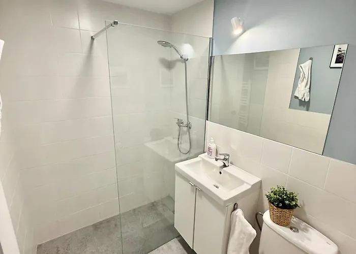 Vive Xii * Saragoça